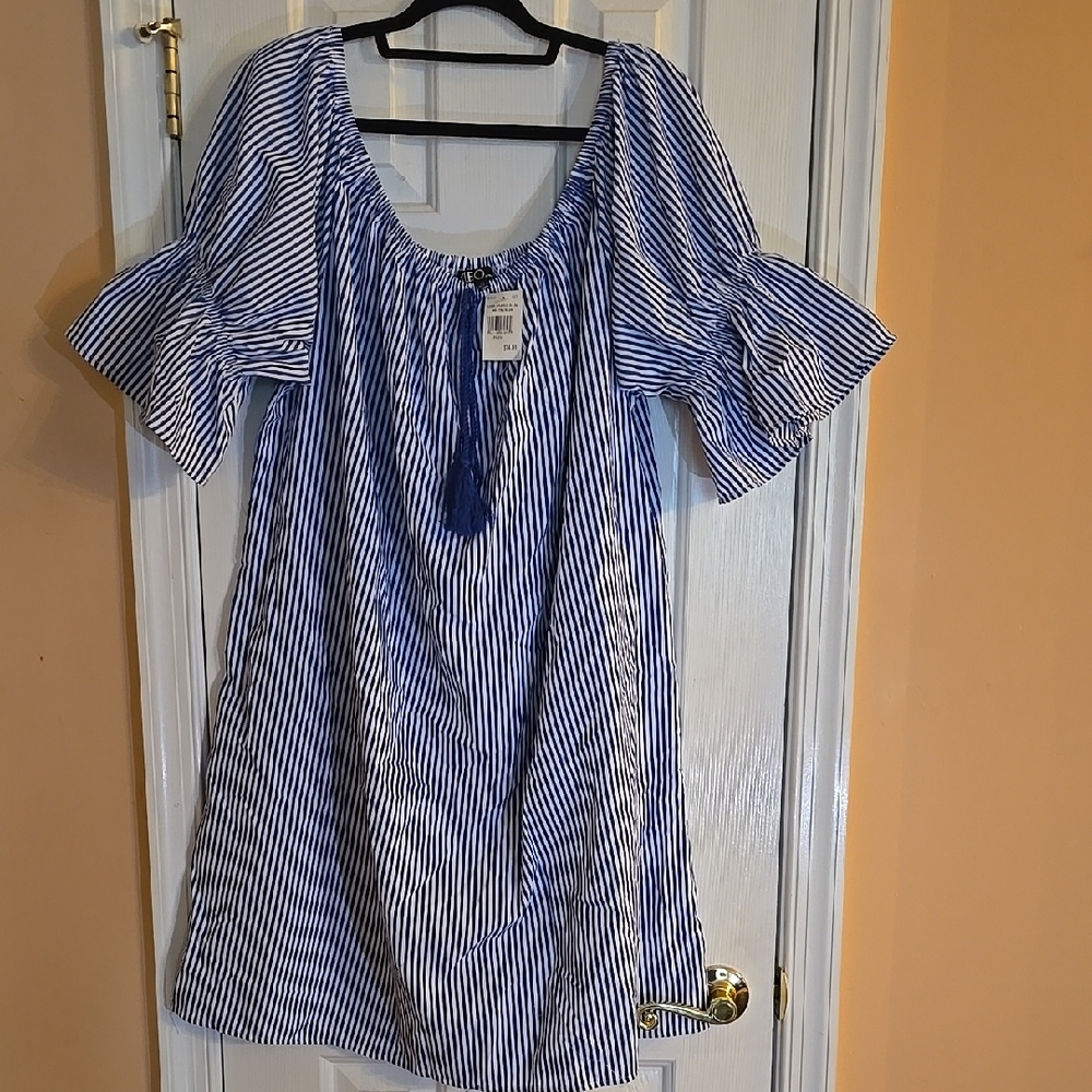 Chic Striped Blue and White Dress